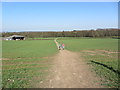 Walking on path southeast of Claycroft Farm, north of Anderton