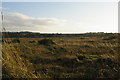 TF7744 : Brancaster across the marshes, New Year's Day 2013 by Christopher Hilton