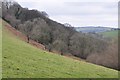 Mid Devon : Hillside Scenery