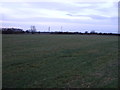 Farmland near Bellmount