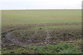 Field near Clay Farm, off clay Lane