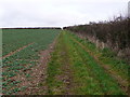 SY8396 : Bridle Path near Bere Down by Nigel Mykura