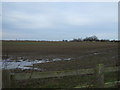 Farmland off the A66
