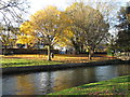 The River Itchen by Water Lane, SO23