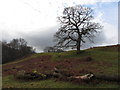 Farmland near Llanfrynach