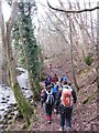 Footpath beside the Nant Menasgin