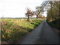 To Cuckoo Green on Back Lane, Lound