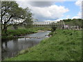 On River Ayr Way - Footbridge over River Ayr at Nether Wellwood