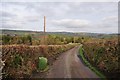 Mid Devon : Countryside Road