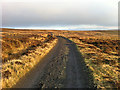 SE6699 : High  Blakey Moor, mild January view by Pauline E