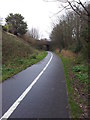 Foot and cycle path along the disused Yarmouth - Lowestoft railway line