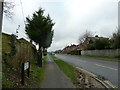 Looking west-southwest along Greenfields Avenue