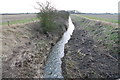 River Till from Glentworth Road