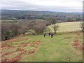 Descent to Coed Cae Rebol