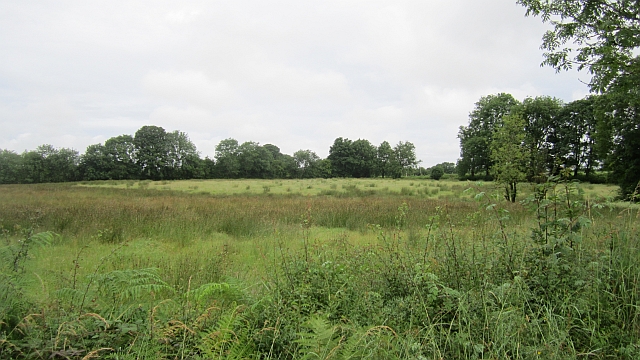 A wet field, Colehill