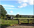 Small field, Colethrop, Gloucestershire