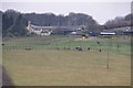 Mid Devon : Ash Farm Scenery