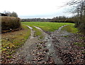 Track at the western end of Highfield Close, Cwmbran