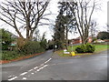 Trees at the corner of Crown Road and Highfield Close, Cwmbran