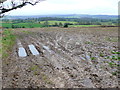 ST7609 : Waterlogged Field near Hazelbury Bryan by Nigel Mykura