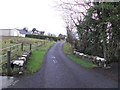 A small bridge along Ballyglass Road