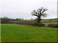 Fields near Mount Pleasant Farm