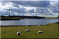 Loch Gelly from Powguild