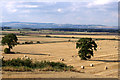 Harvest Time at Craigend