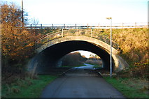 TA1329 : Marfleet Lane Bridge by Malcolm Sandilands