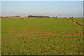TL4444 : View across fields alongside A505 by David Beresford