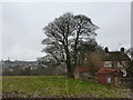 Old farmhouse and outbuilding