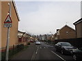 Blossom Grove off Kestrel Way, Hull