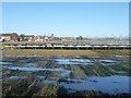 Uncovered strawberry polytunnels, Sturton Grange