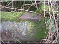 Rivet benchmark on a trough near Farnley Moor End