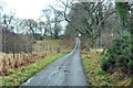 Minor road near Craggan