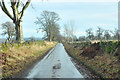 NN8516 : Minor road near Boreland by Steven Brown