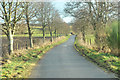 Minor road near Strageath Mill