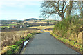 Minor road near Abernyte