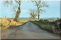 Minor road near Binn Farm