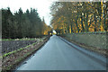 Minor road near Monikie