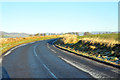 Minor road near Brechin