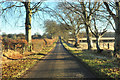 Minor road near Keithock