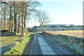 Road past Brathinch Farm