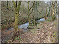 The Afon Garw in woodland between Tylagwyn and Pont-y-rhyl