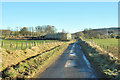 Minor road near Witton Farm