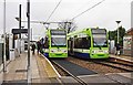 London Tramlink Bombardier trams nos. 2532 & 2536 at Therapia Lane tram stop, Croydon