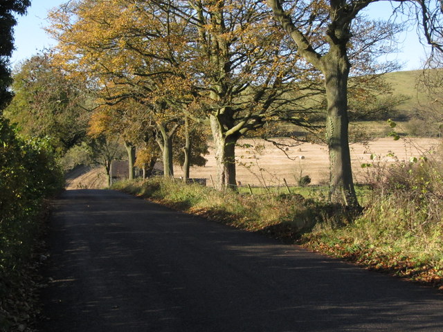 Washbrook Lane, west of Tissington