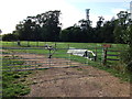 Horse paddocks, Baginton Road, Bubbenhall