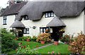 Thatched cottage and garden, Ludgershall, Wiltshire