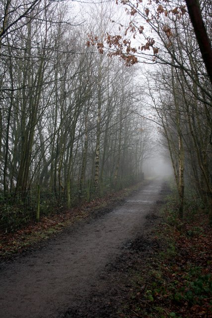 Misty day on the Longdendale Trail